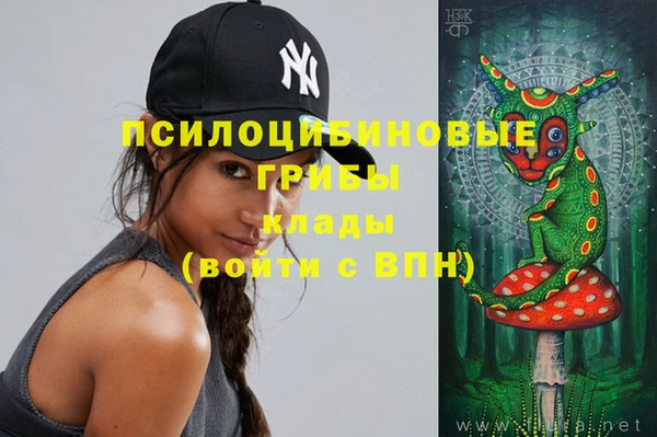 дживик Кинешма