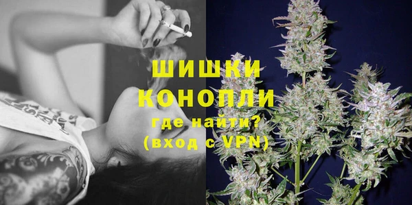 дживик Кинешма