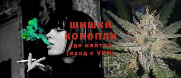 дживик Кинешма